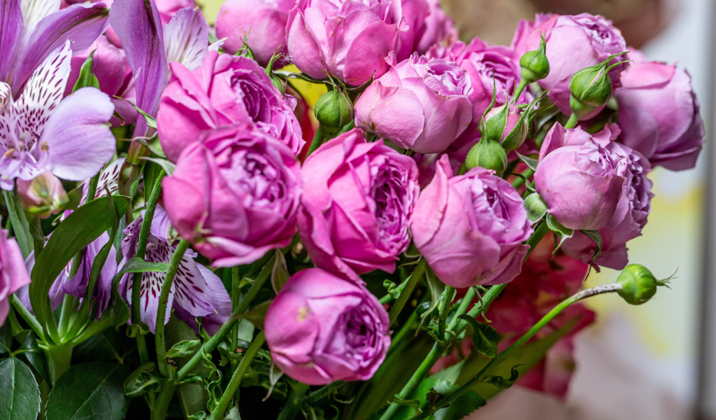 Розовые розы с бутонами в букете с цветами альстромерии