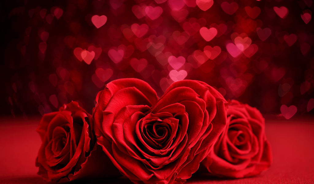 Красная роза в форме сердца на фоне с сердечками