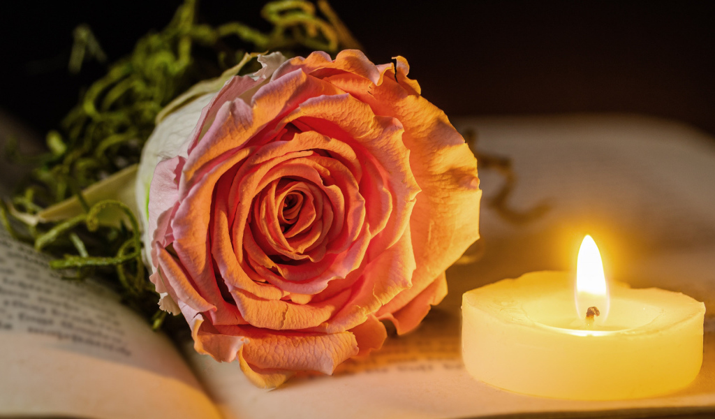 Нежная розовая роза с зажженной свечей лежат на книге