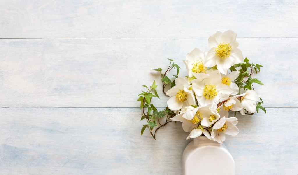 Белые цветы морозника в вазе у стены