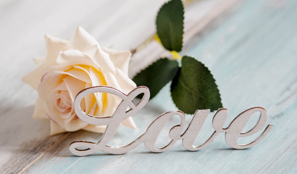 Белая надпись любовь на английском с белой розой