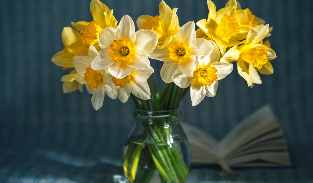 Желтые и белые нарциссы в стеклянной банке на столе 