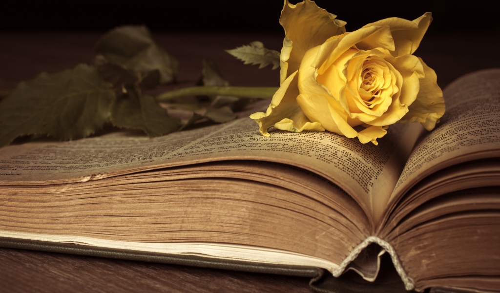 Желтая книга лежит на старой книге 