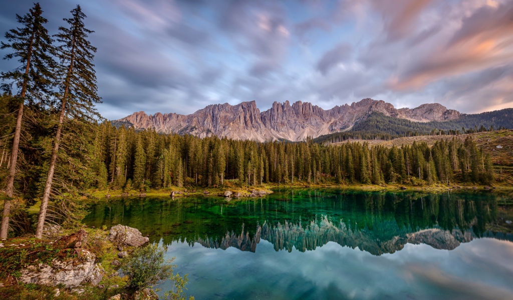 Красивый лесной пейзаж у озера 