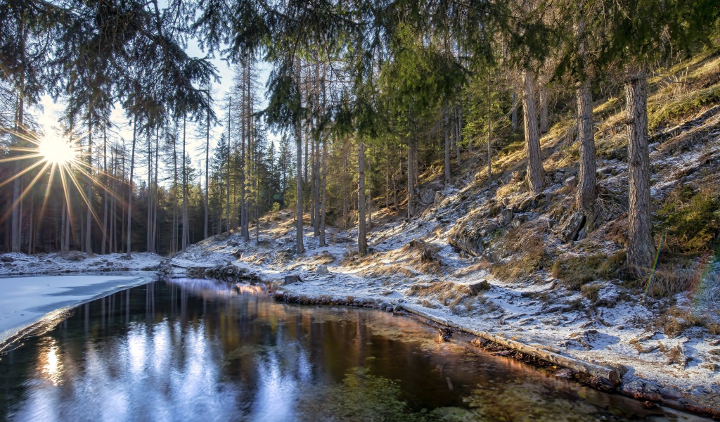 Берега реки в сосновом лесу покрыты морозом 