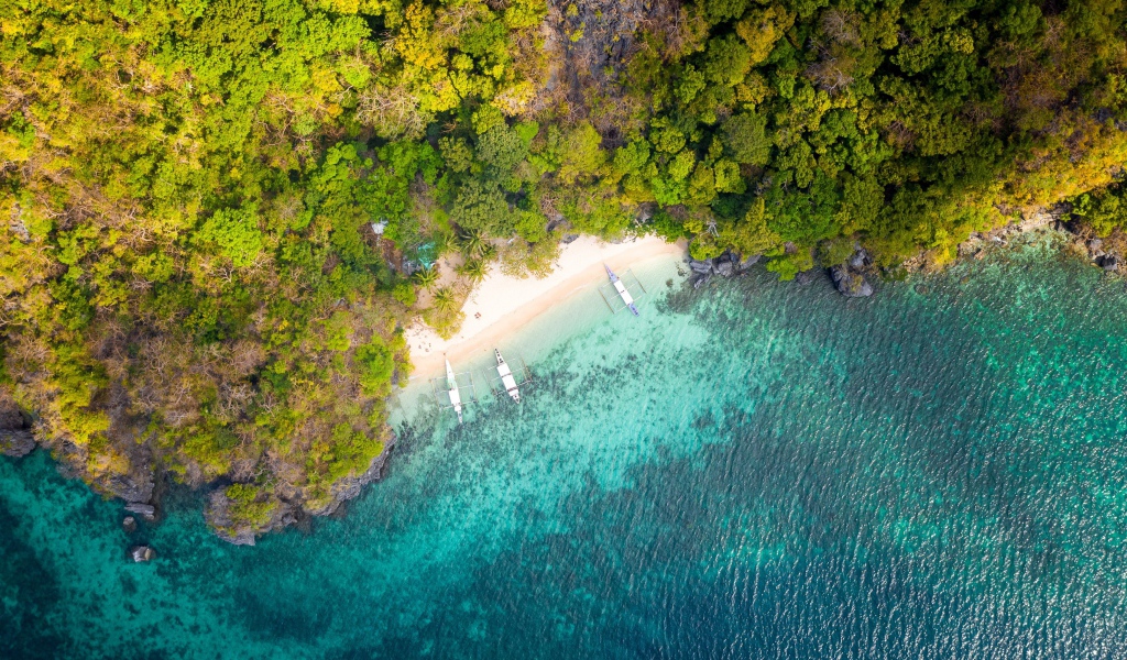 Вид на голубую воду и лес сверху 