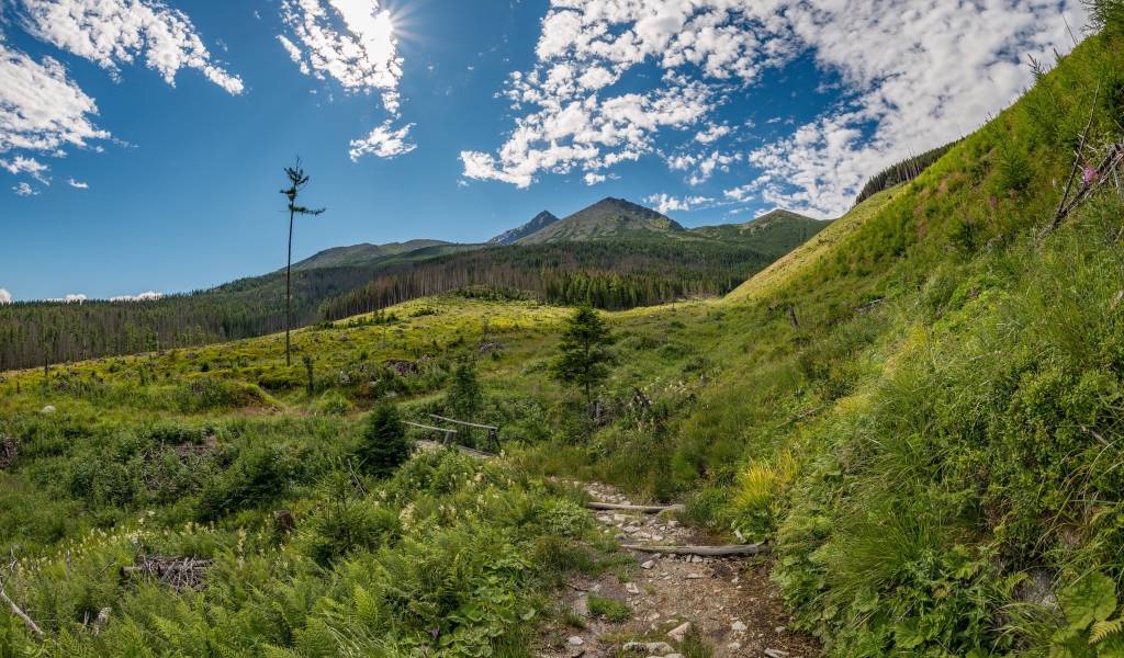 Красивая зеленая природа у гор под голубым небом