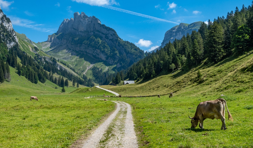 Красивый вид на гору под голубым небом летом 
