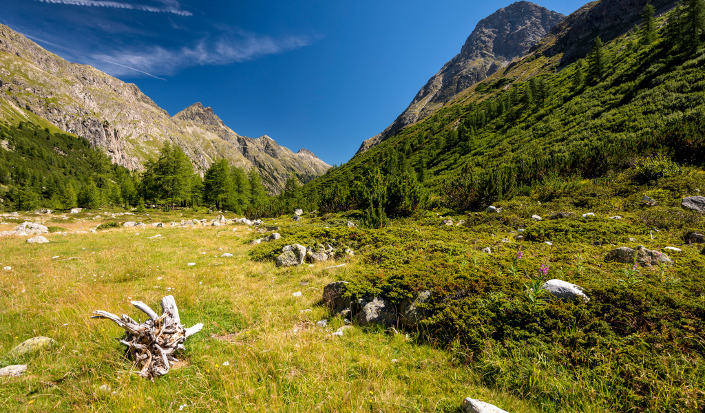 Красивый вид на покрытые зеленью горы под голубым небом
