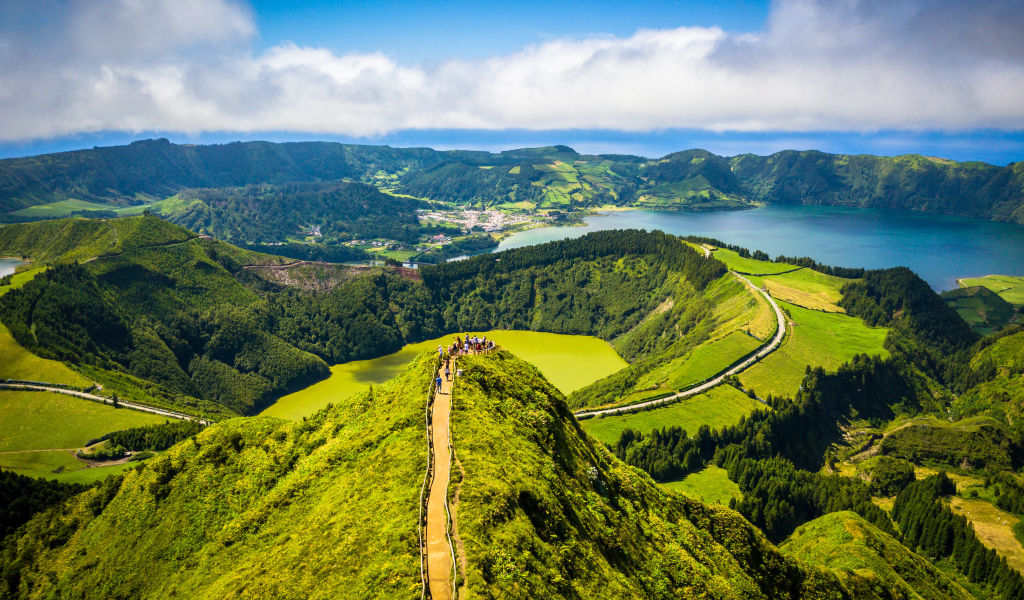 Покрытые зеленью горы в живописном фьорде 
