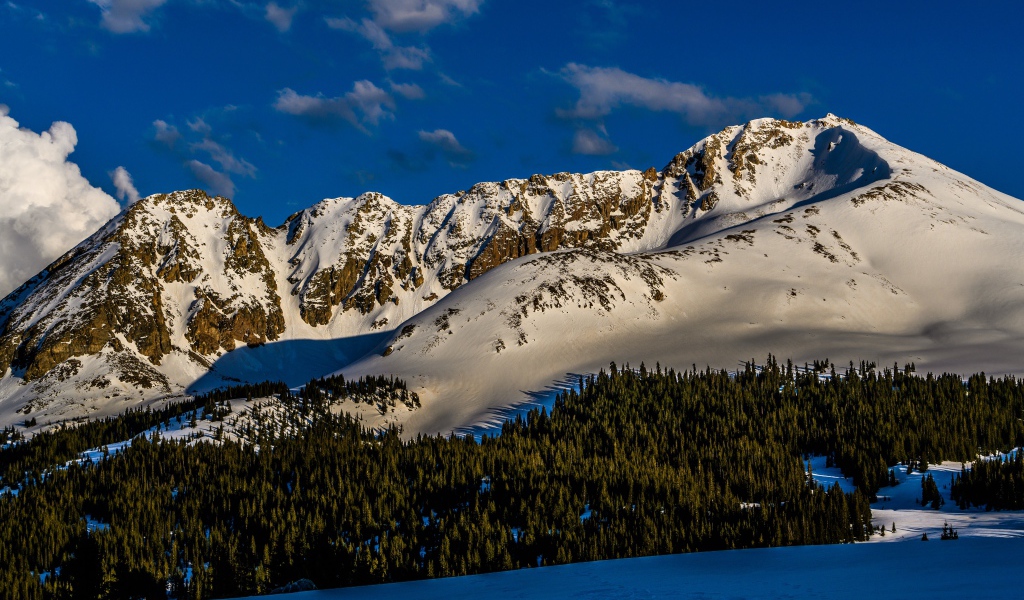 Зеленый лес на покрытых снегом горах 