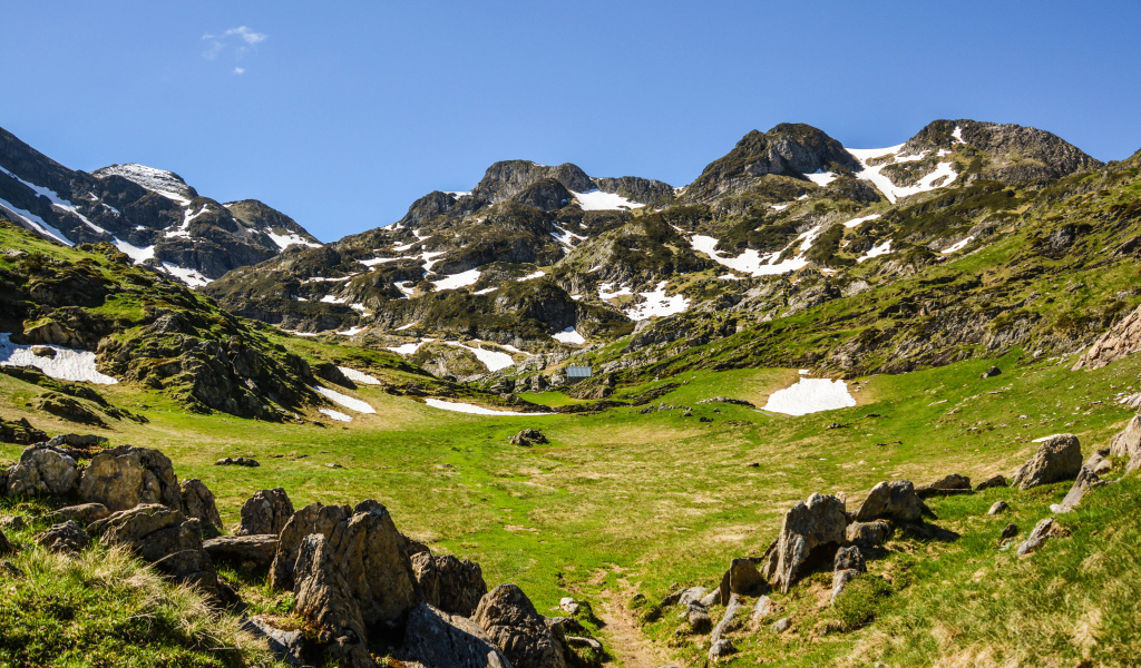 Зеленая трава у подножия заснеженных гор 