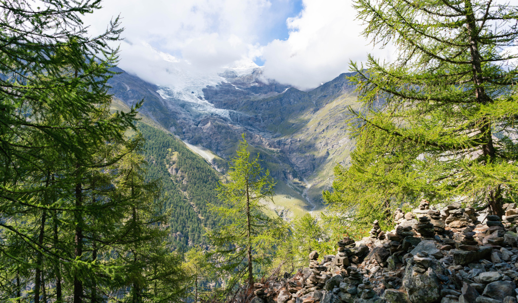 Высокие покрытые хвойным лесом горы под облачным небом 