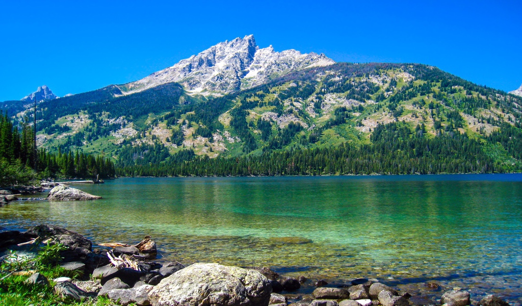 Большая покрытая растительностью  гора у озера