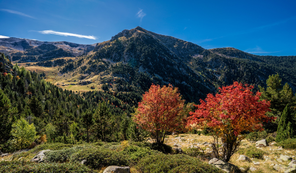 Вид на гору под голубым небом