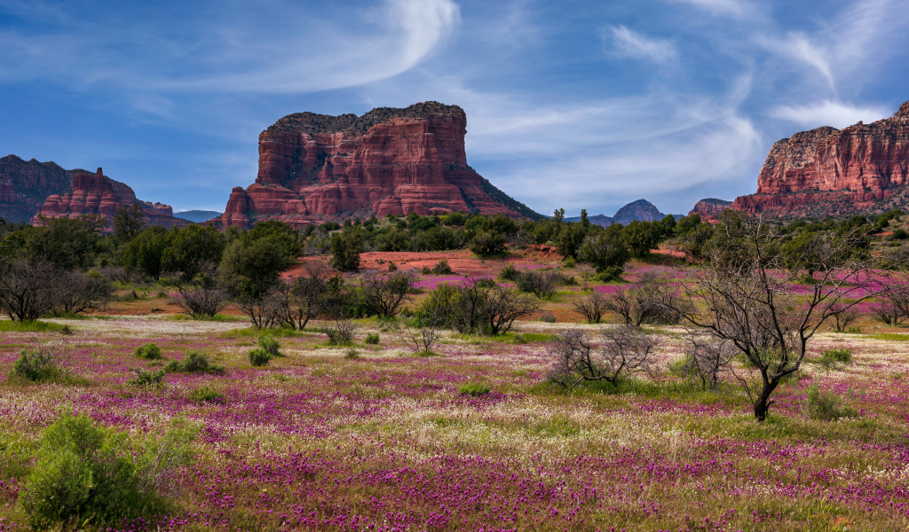 Скалистые горы под красивым голубым небом, США