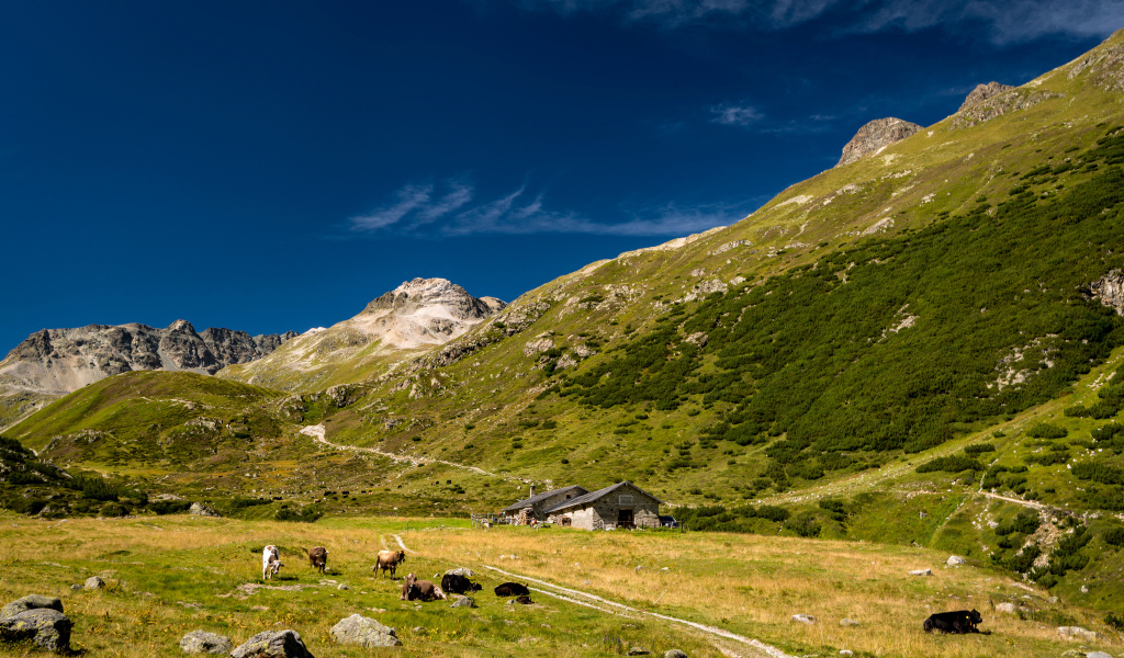 Поселение у покрытых зеленью гор под голубым небом