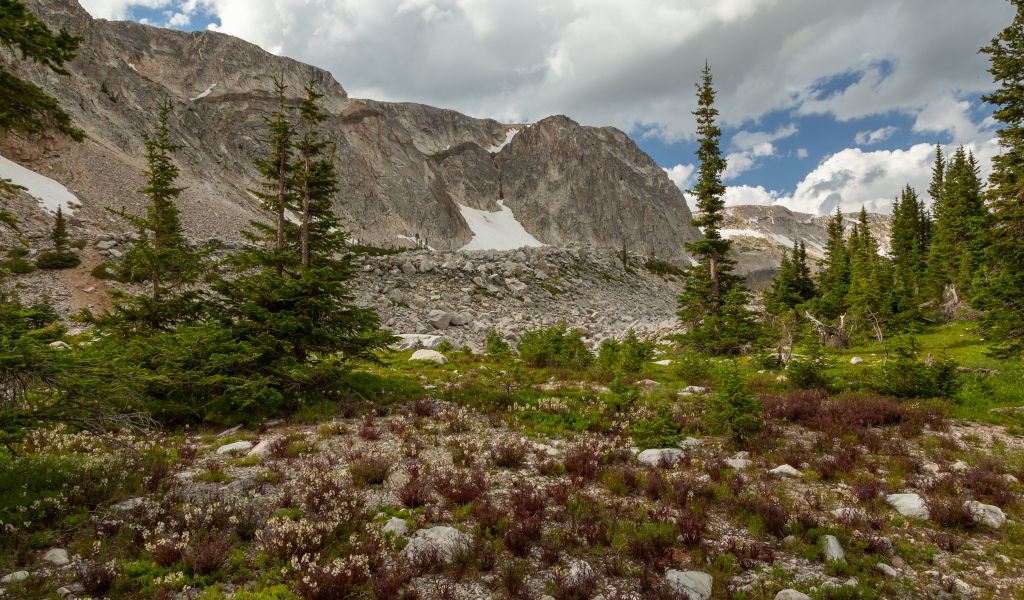 Ели у подножия каменных гор под небом с белыми облаками