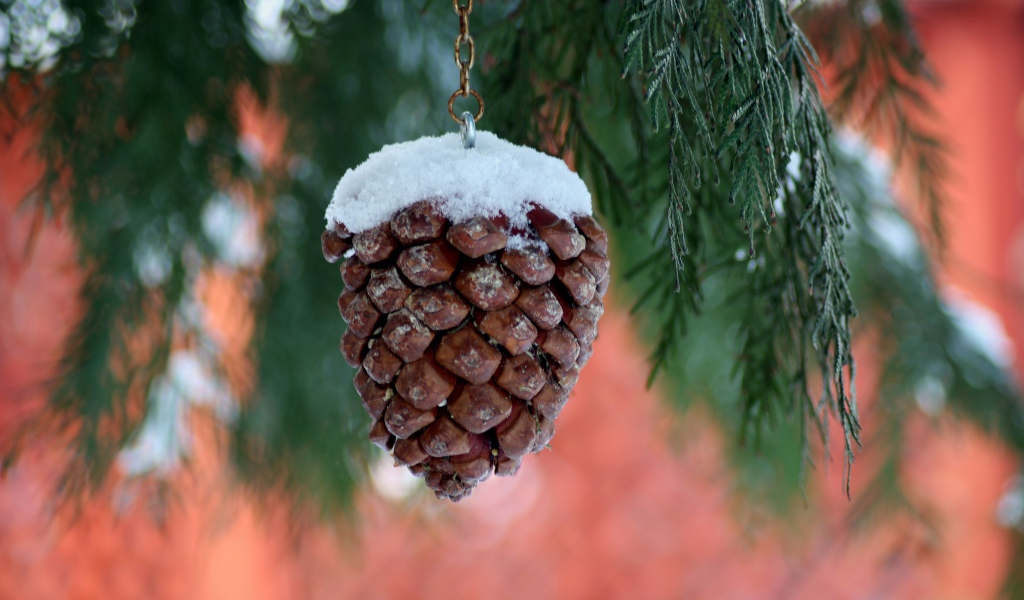 Шишка на цепочке висит на ветке туи 