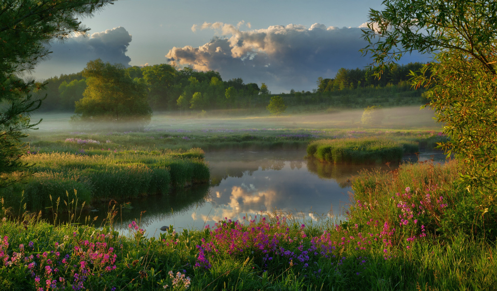 Туман над полем у реки на рассвете 