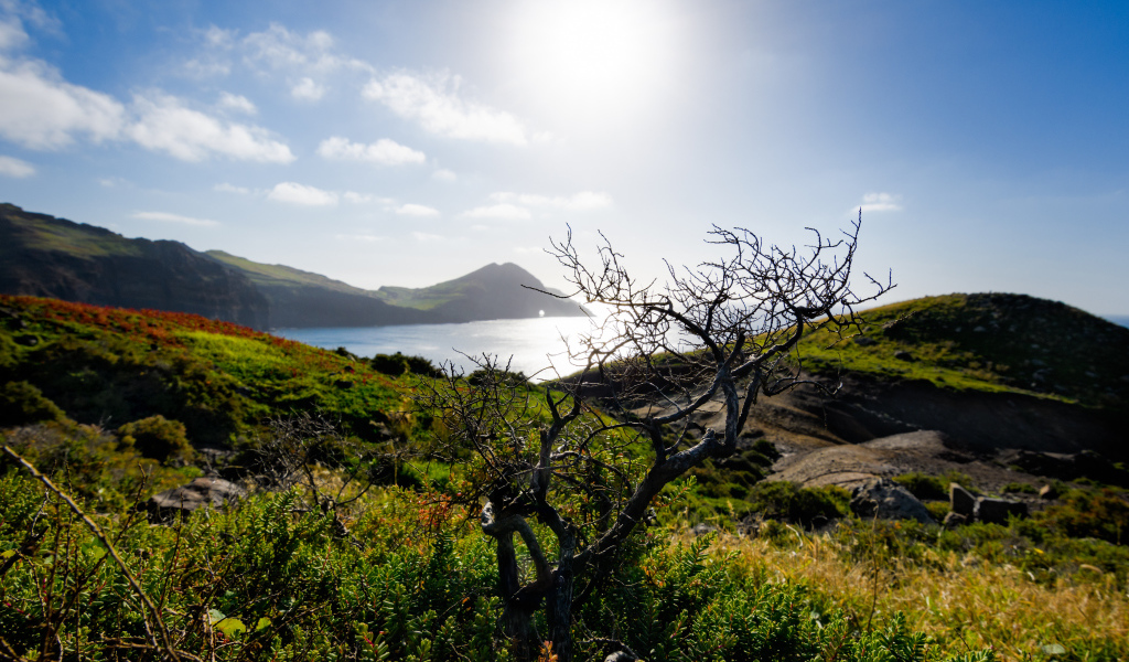 Зеленые утесы у моря на фоне яркого солнца