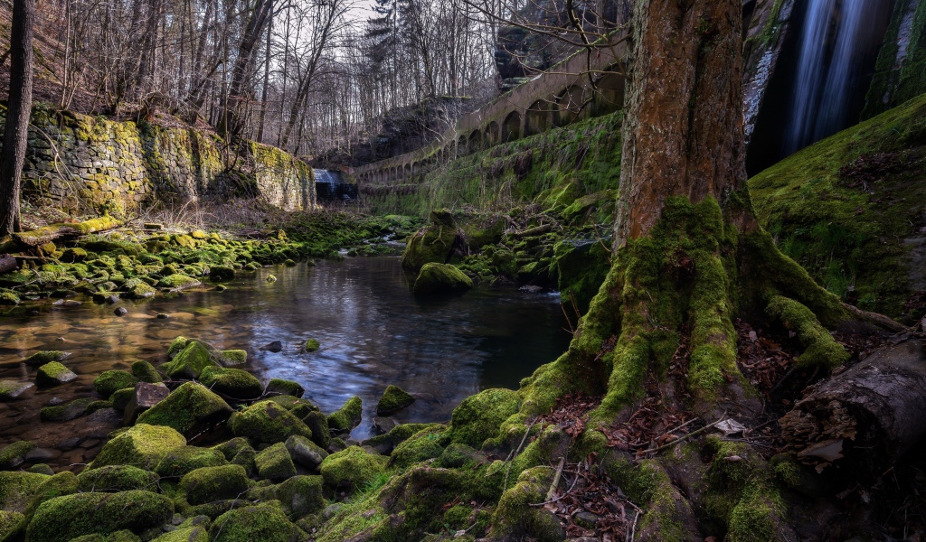 Старый мост у реки в лесу 