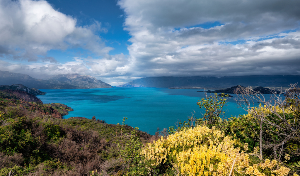 Густые белые облака над озером в горах 