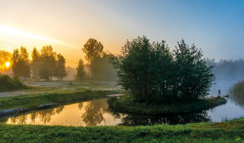 Деревья на островке на реке утром