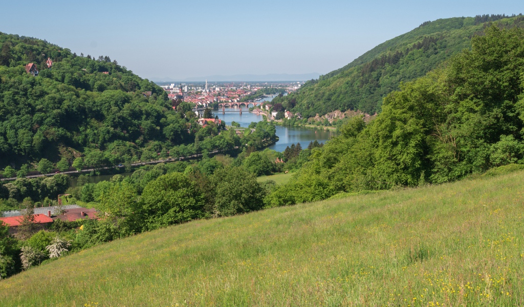 Вид с зеленого холма на реку 