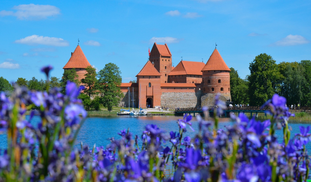 Вид на старую крепость у озера с цветами ириса