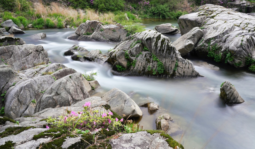 Большие камни в горной реке 