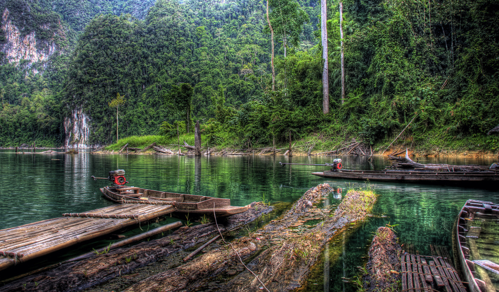 Старые деревянные лодки на берегу реки