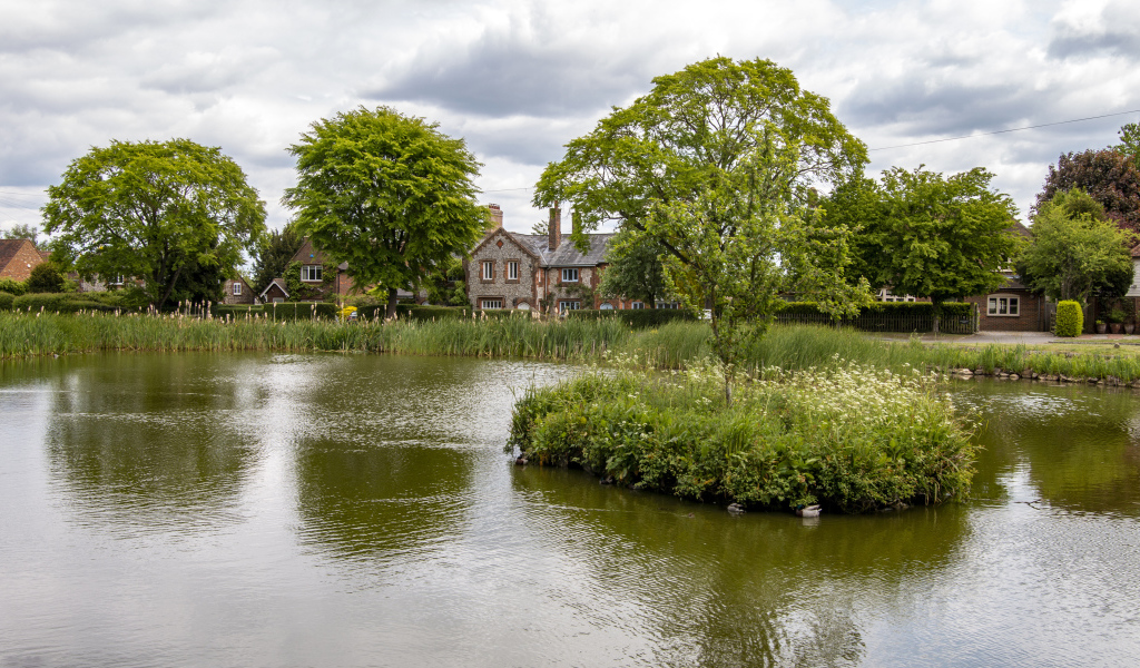 Улица с прудом и зеленой растительностью 