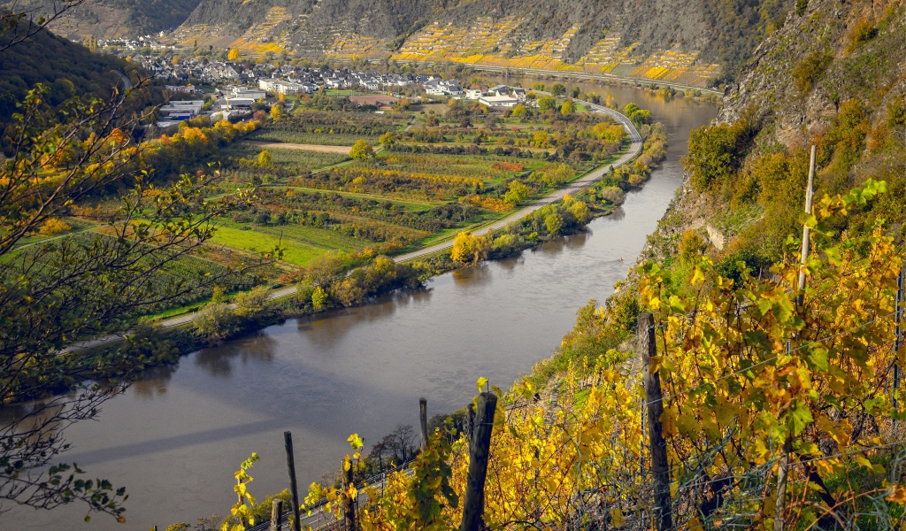 Вид сверху на реку и виноградники 