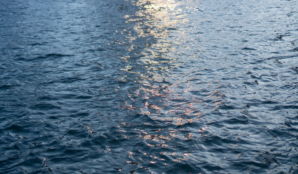 Спокойное море крупным планом