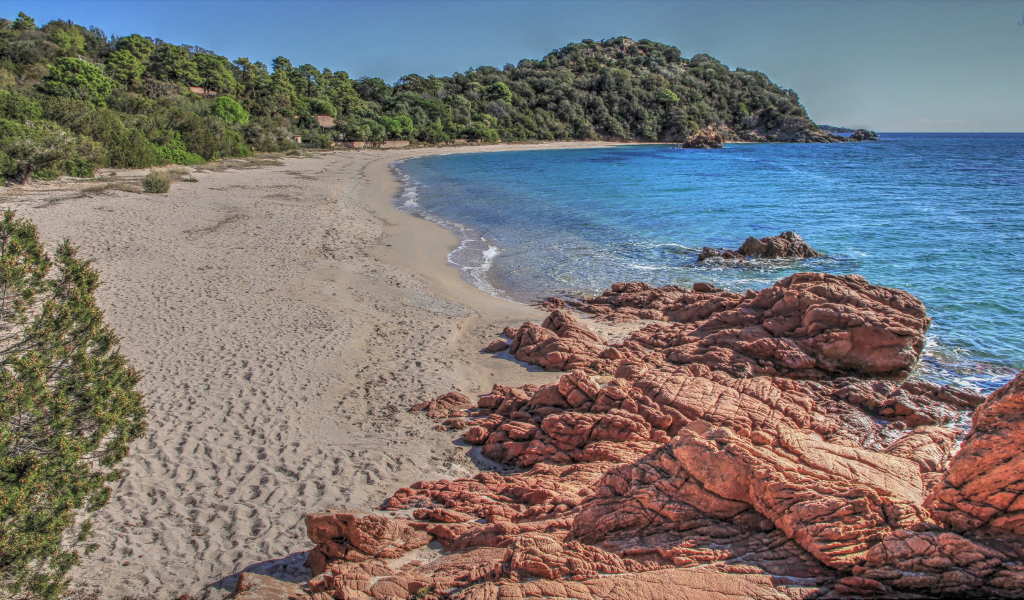 Камни на берегу моря у леса 