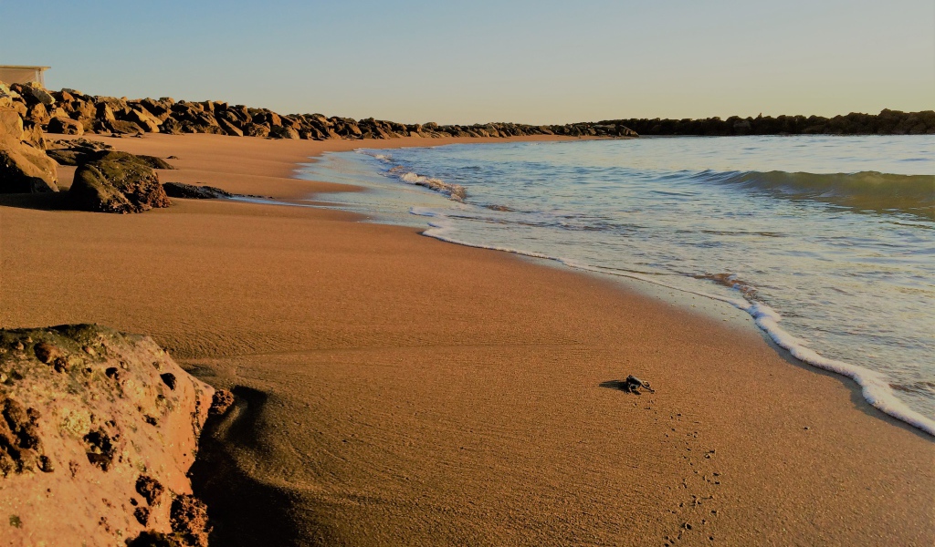 Камни на мокром песке к моря 