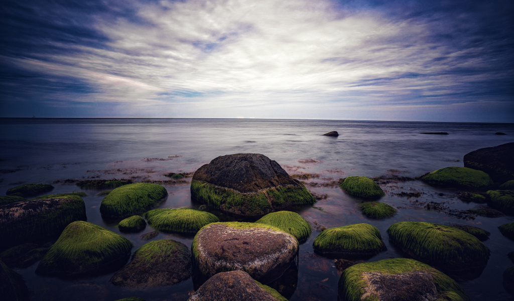 Мокрые покрытые зеленым мхом камни в море 