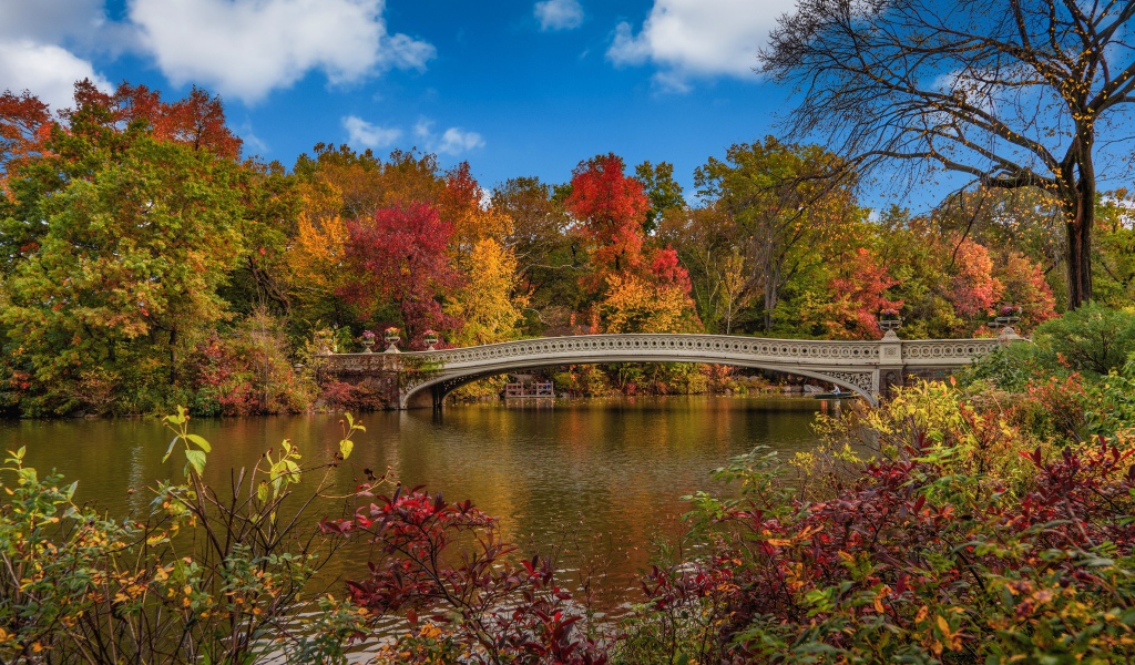 Красивый мост через реку осенью 