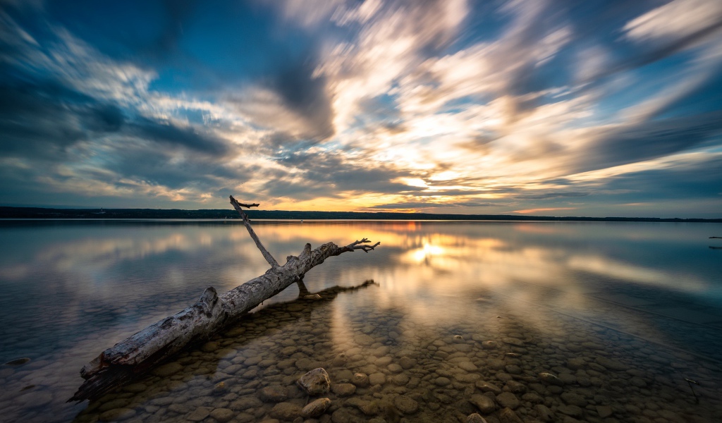 Старое дерево лежит в воде на закате солнца 