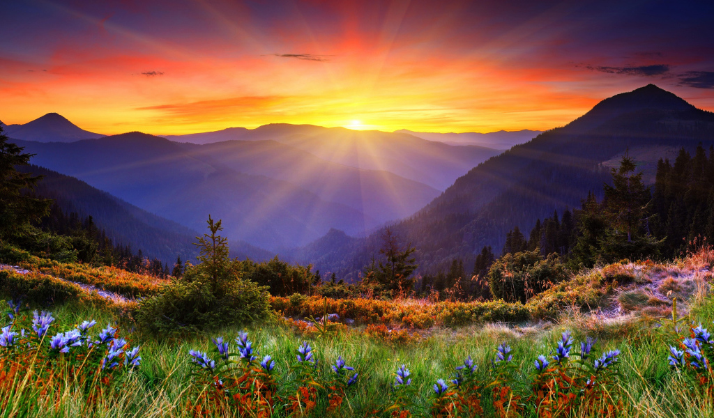 Яркое солнце покрывает вершины гор и красивую природу 