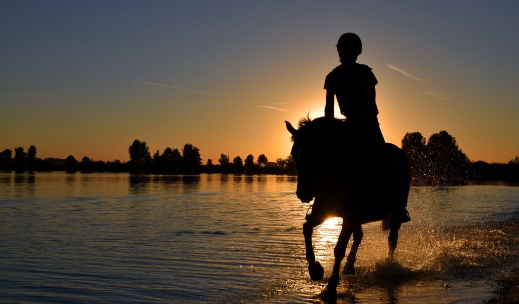 Девушка на лошади скачет по воде на фоне заката