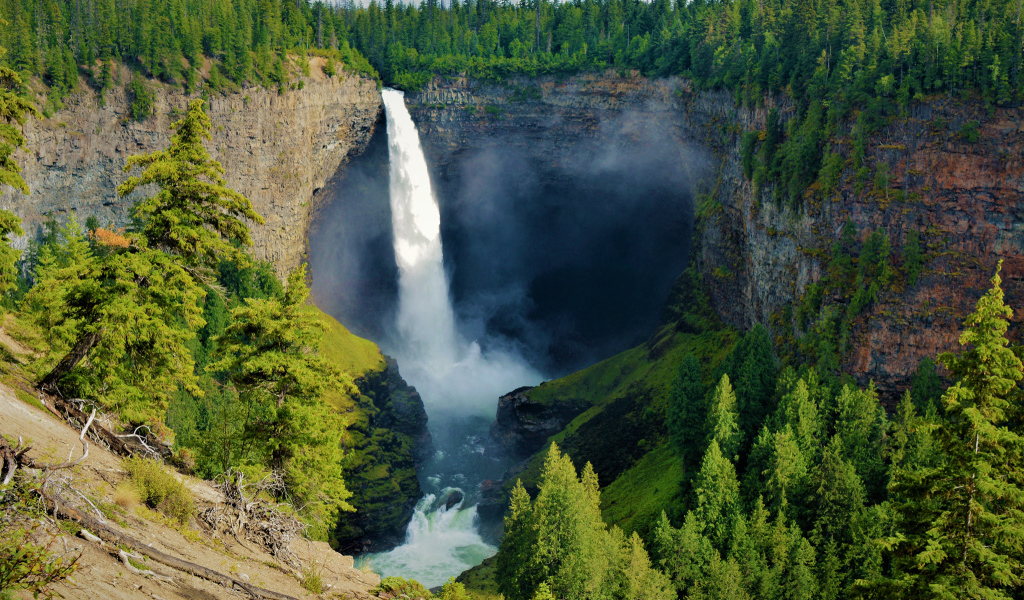 Водопад стекает с утеса в лесу, Канада 