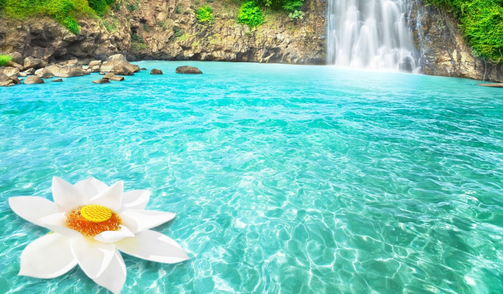 Большой белый цветок в голубой воде у водопада 