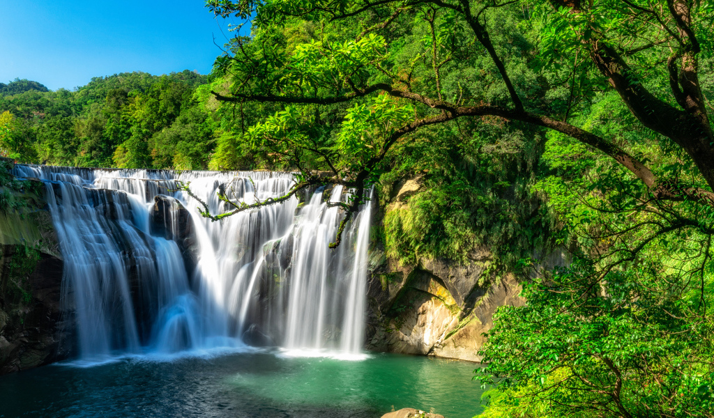 Быстрый водопад стекает со скалы в лесу с зелеными деревьями