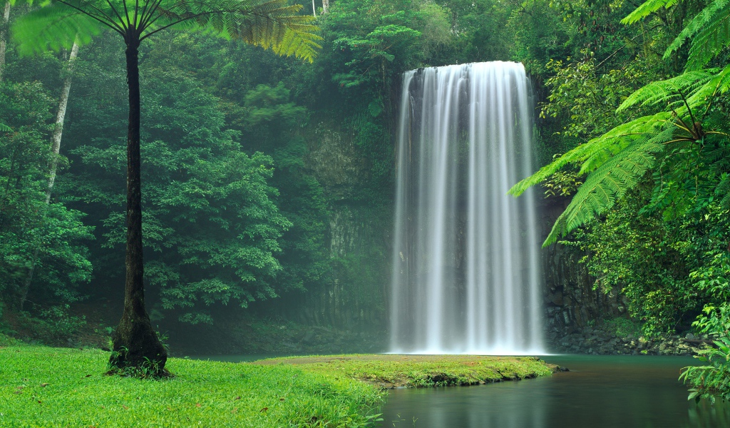 Водопад Миллаа Миллаа  в зеленых зарослях, Австралия