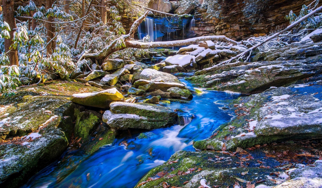 Первый снег покрыл камни у лесного ручья