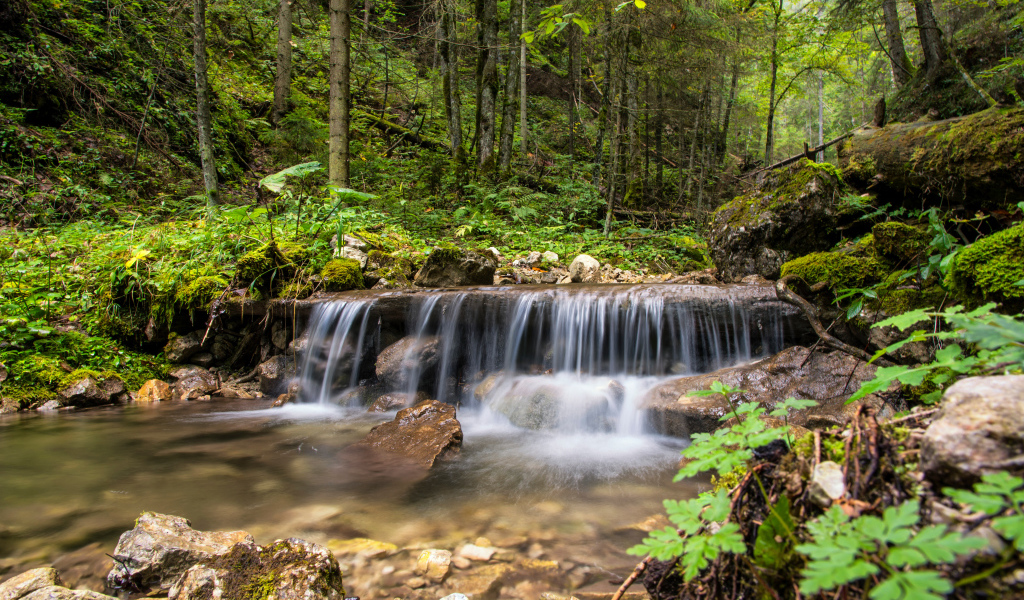 Водопад стекает по заросшим камням в лесу 