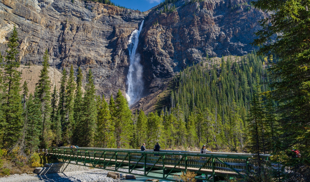 Водопад стекает по скале у  хвойного леса 