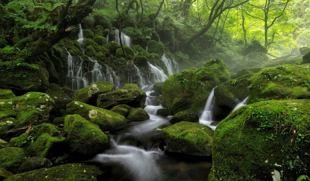 Вода стекает по старым покрытым мхом камням